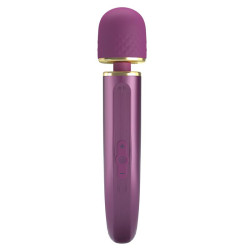 Pretty Love Wand Colorfull 24cm Tête 48mm Violet